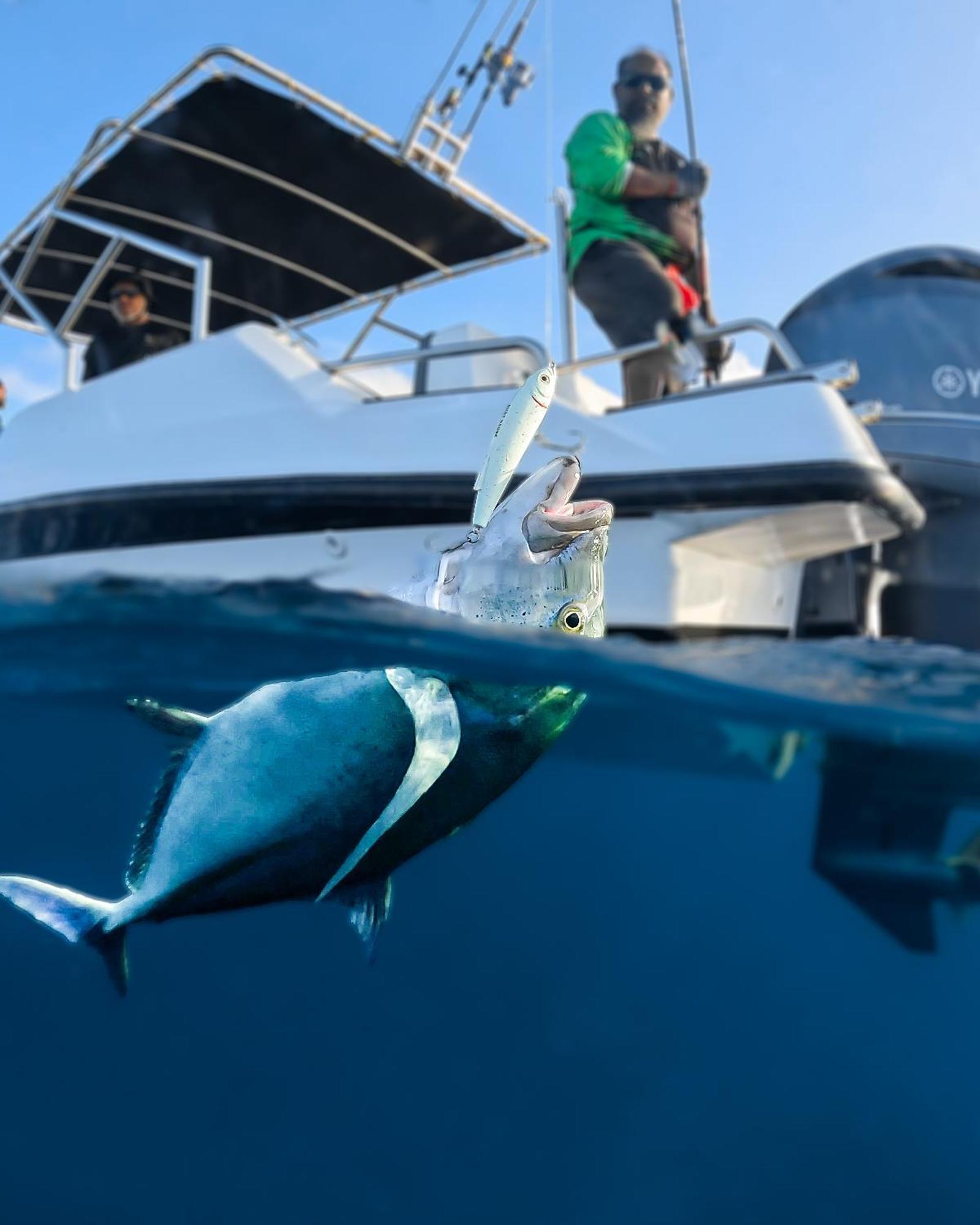 Nihaali Maldives Ξενοδοχείο Kudarikilu Εξωτερικό φωτογραφία