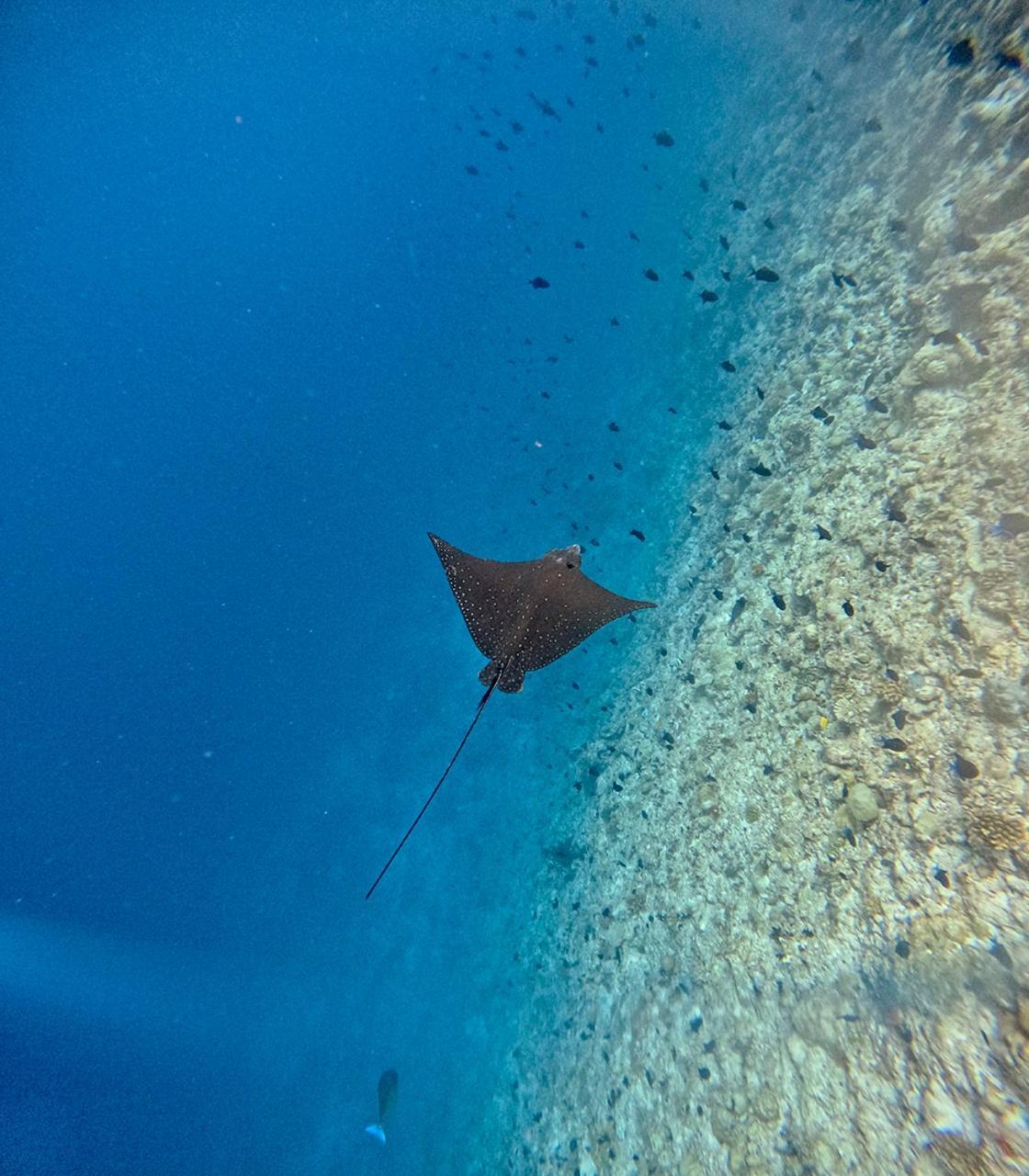 Nihaali Maldives Ξενοδοχείο Kudarikilu Εξωτερικό φωτογραφία